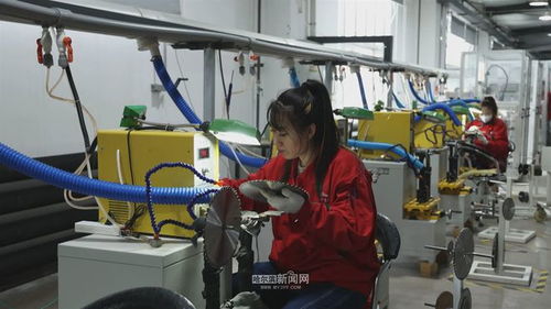 方正縣 為客戶 私人定制 新產品 彈射起步實現新春 開門紅